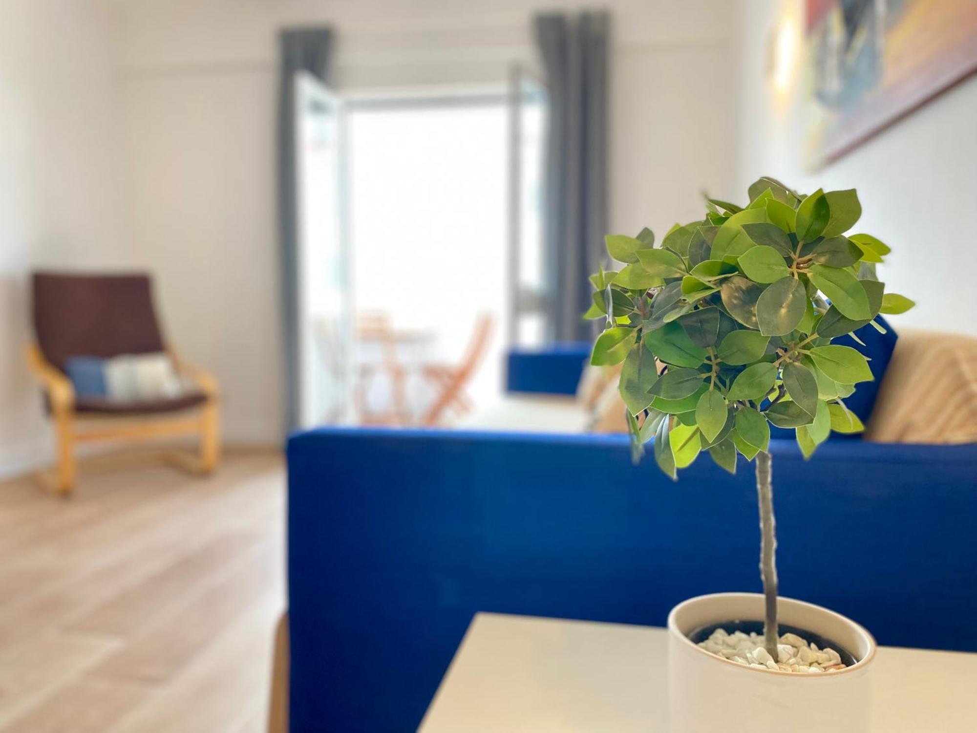 Apartamento 2M - Praia Do Carvoeiro Карвоейру Екстер'єр фото